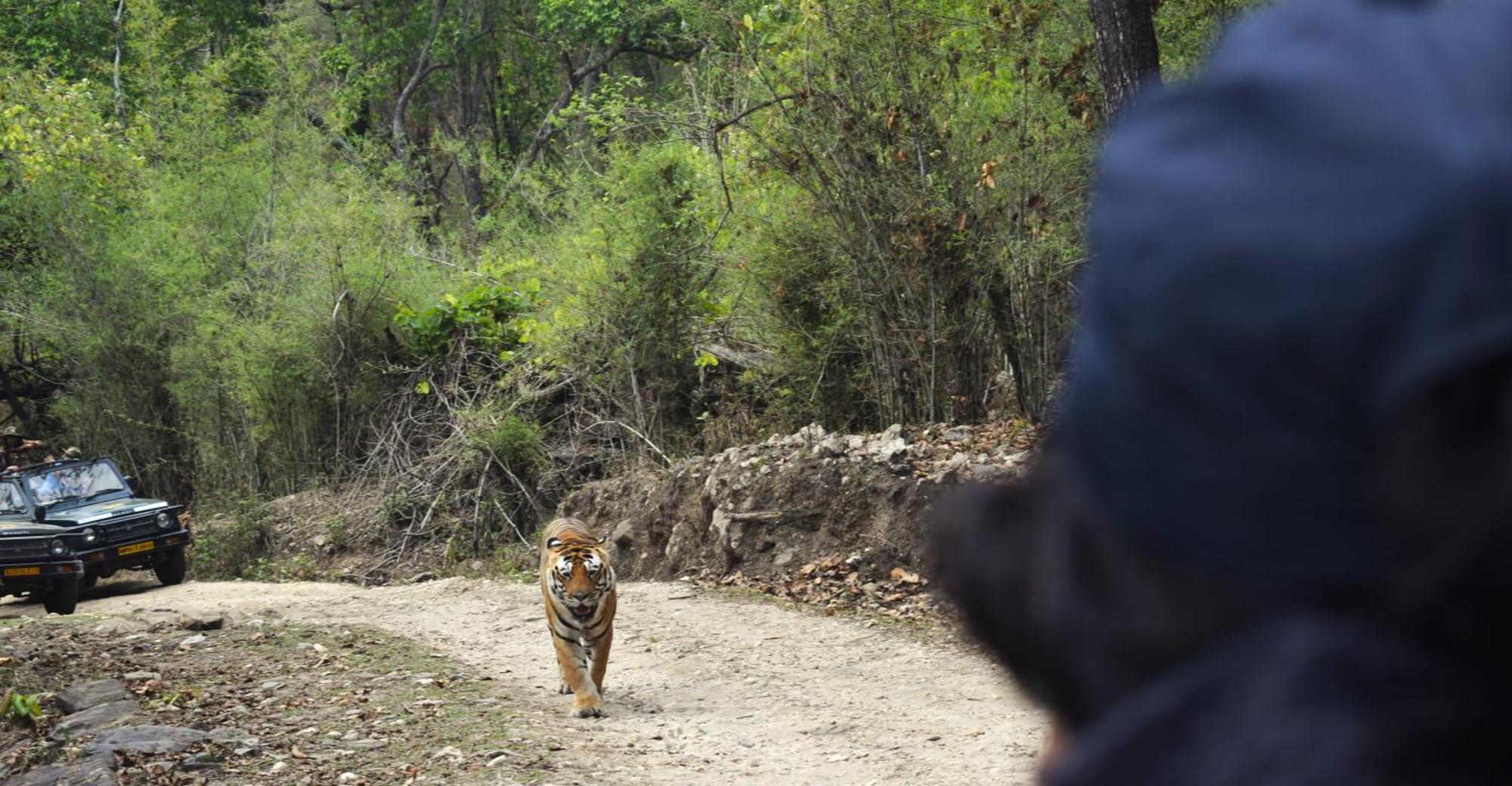 Athulyam Kanha, Kanha National Park, Mukki Gate Khapa  Exterior foto